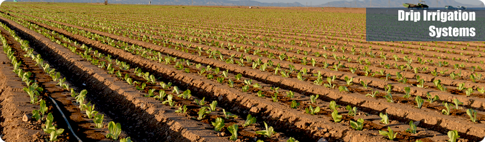 Micro Irrigation Systems